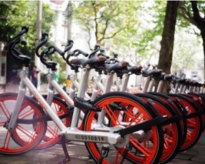 摩拜早期投資人劉二海：當(dāng)你足夠強大，自不必與巨頭為伍